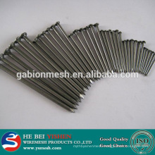 Common nail iron nail factory(nail factory)